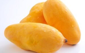 mango Sindhri pakistan