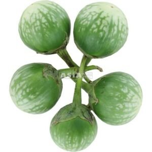 Eggplant Green 1 X 4 KG