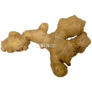 Ginger 1 X 13 KG
