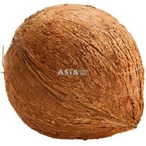 Coconuts Brown