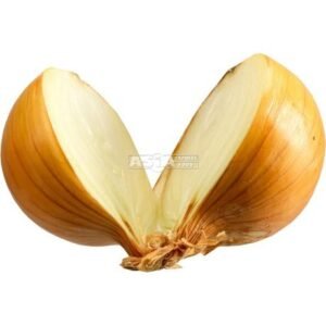 Onion Yellow 1 X 5 KG