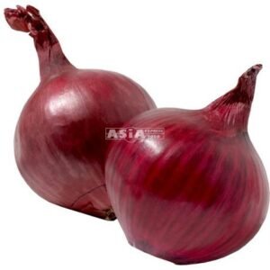 Onion Red 1 X 5 KG