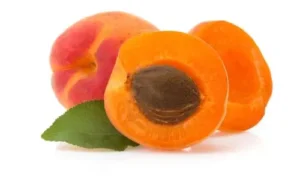 Apricot