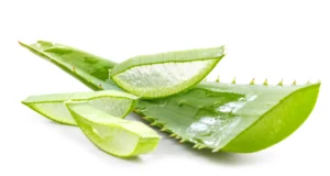 Aloe Vera 1 X 5 KG