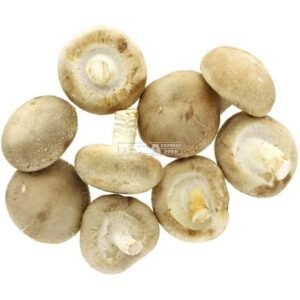 Shiitake Mushroom 20 X 150 G