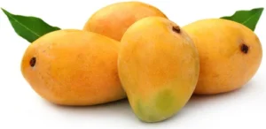Mango Alphonso india