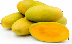 LANGRA MANGO PAKISTAN