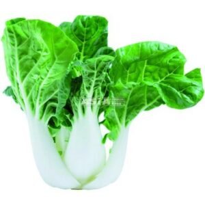 Pak Choi Mini 1 X 6 KG