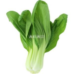 Shanghai Pak Choi 1 X 8 KG