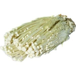 Enoki Golden  50 X 100 G