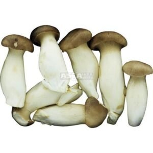 Eryngii King Oyster 20 X 150 G