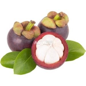 Mangosteen