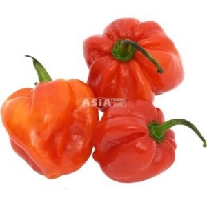 Habenero Red Hot 1 X 4 KG