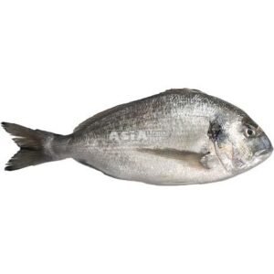 Sea Bream (Dorade) 400-600 Gr. G&S IQF 1 X 5 KG